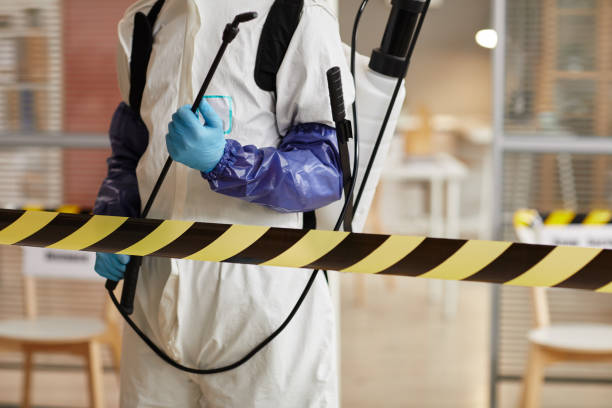Professional Sewage Cleanup technician working in Speonk, NY